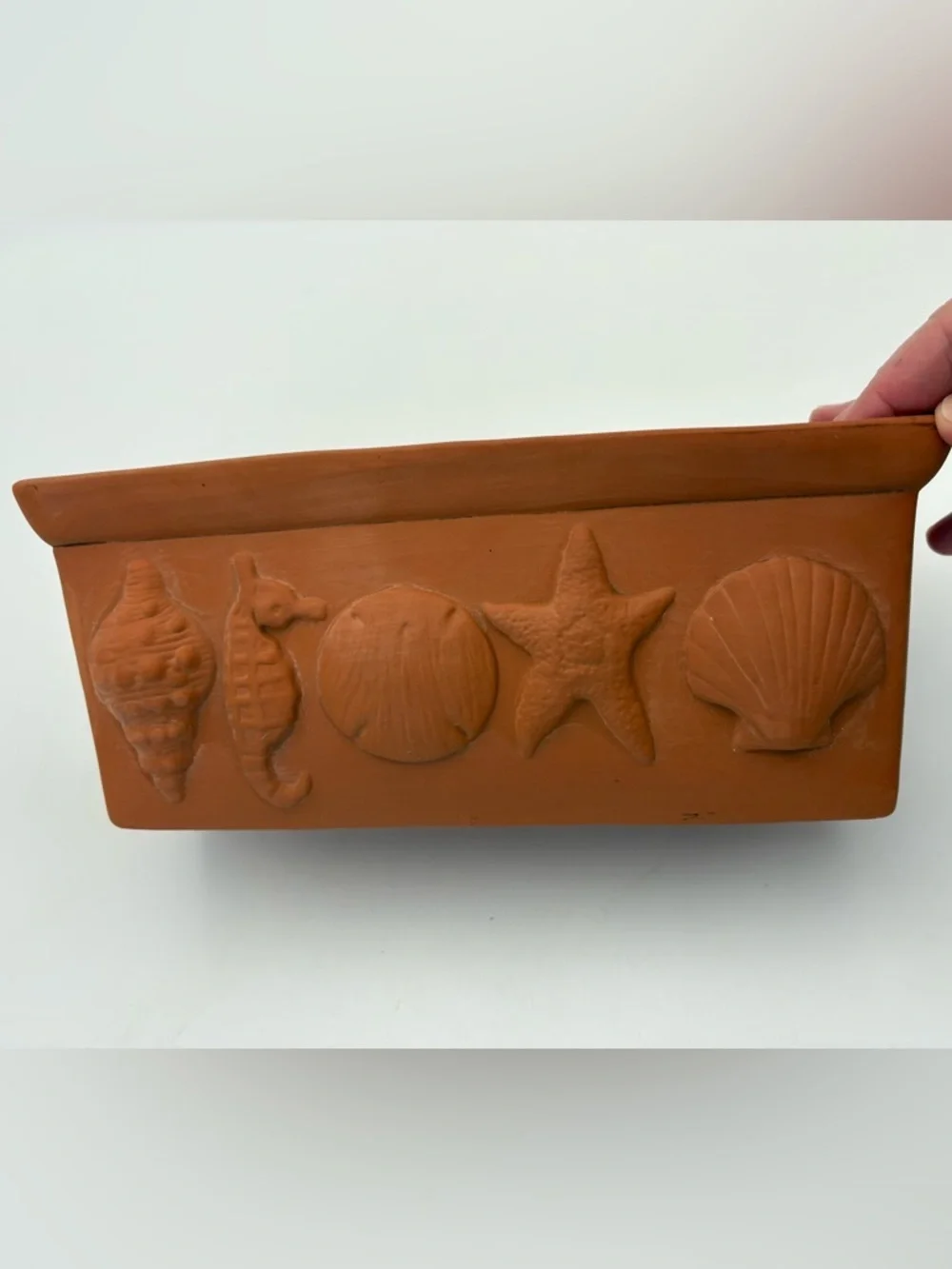 Terracotta Beach/Shell Motif Planter Tray - Sea Life Relief -Rectangular